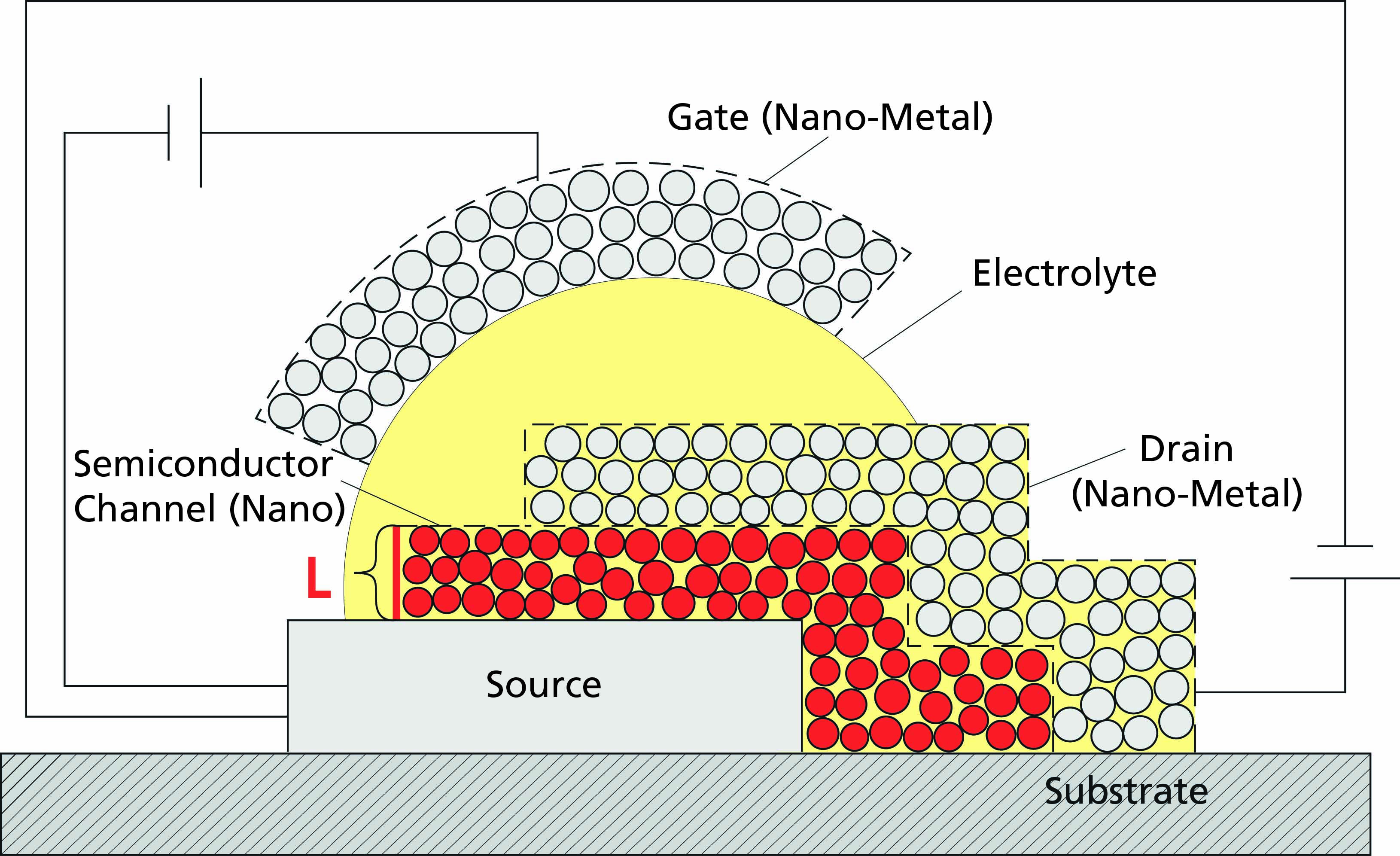 Printed Electronics